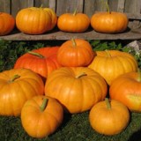 Сладкий пирог